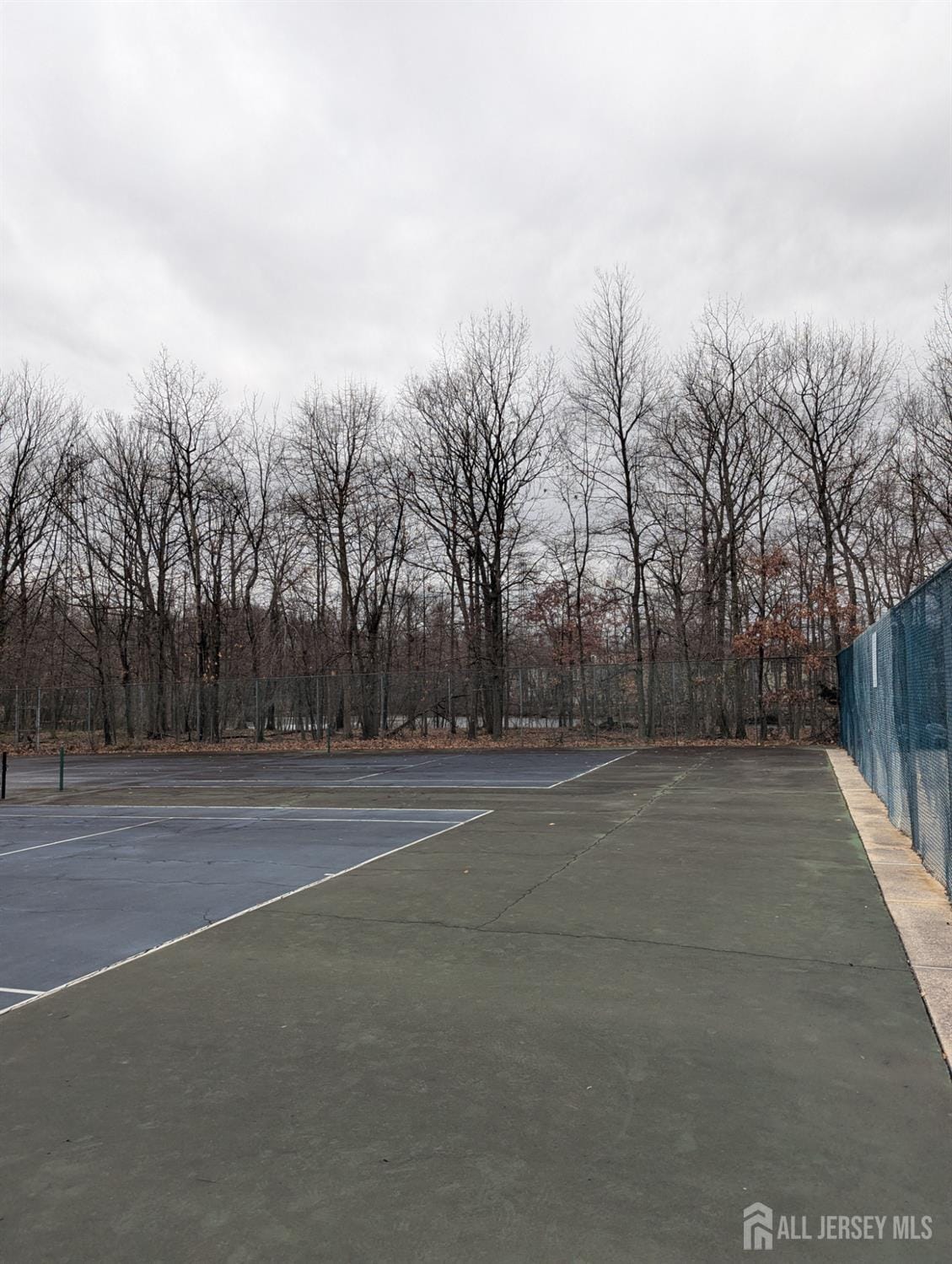 316 VENTNOR Court, Piscataway, NJ, 08854 image 32