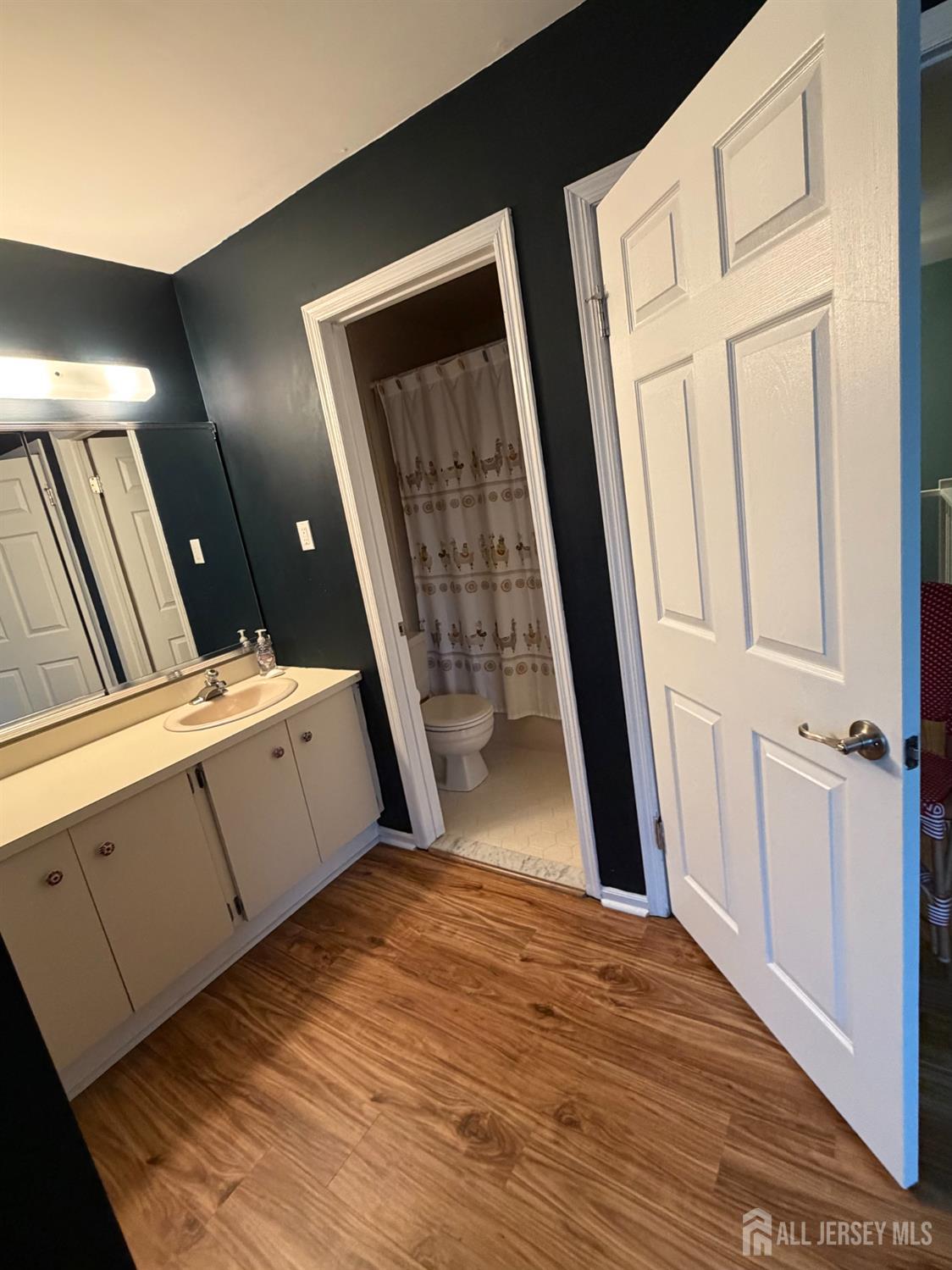 125 Archery Court, Old Bridge, NJ, 08857 image 9