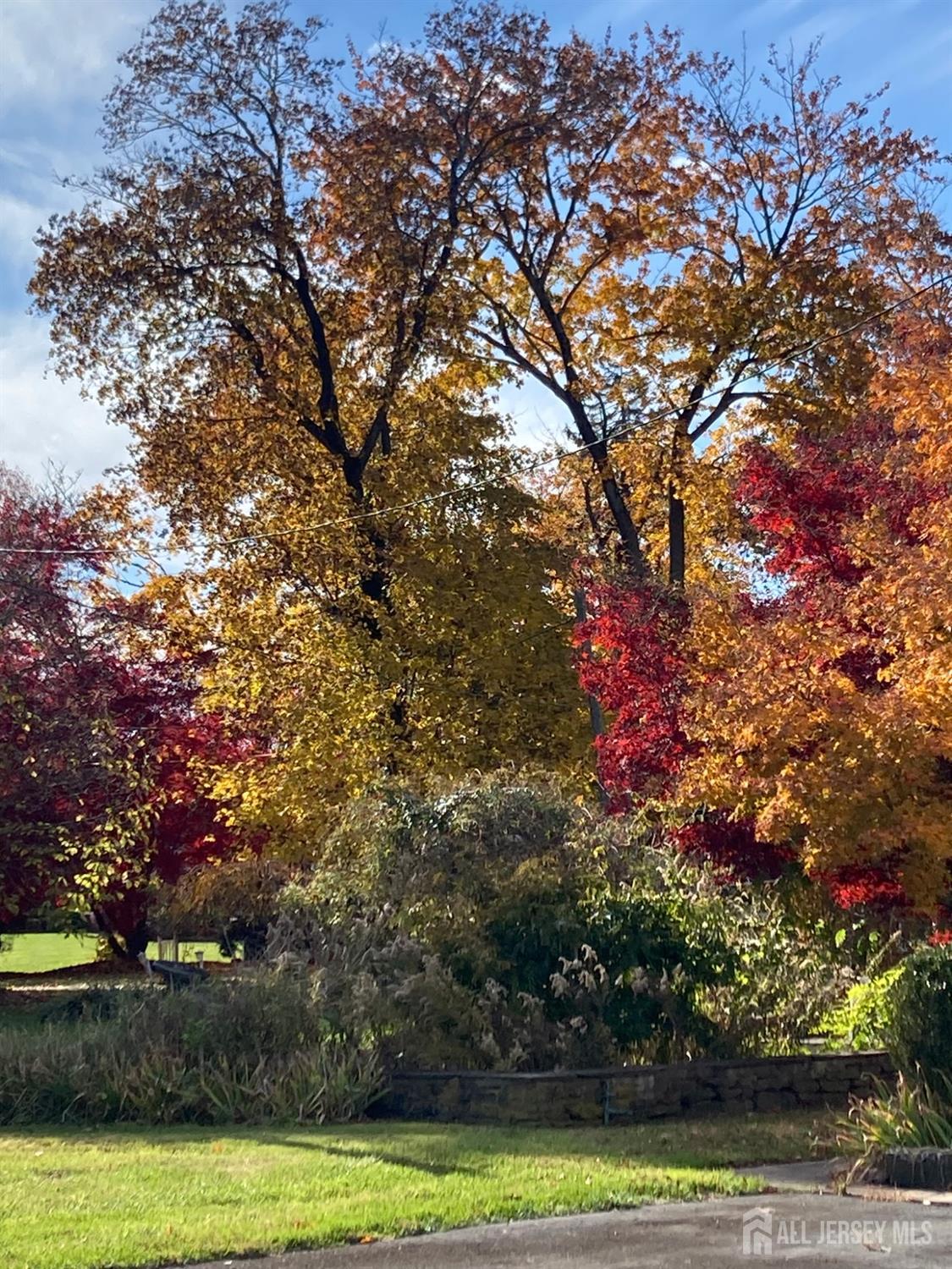 77 Petty Road Image 5