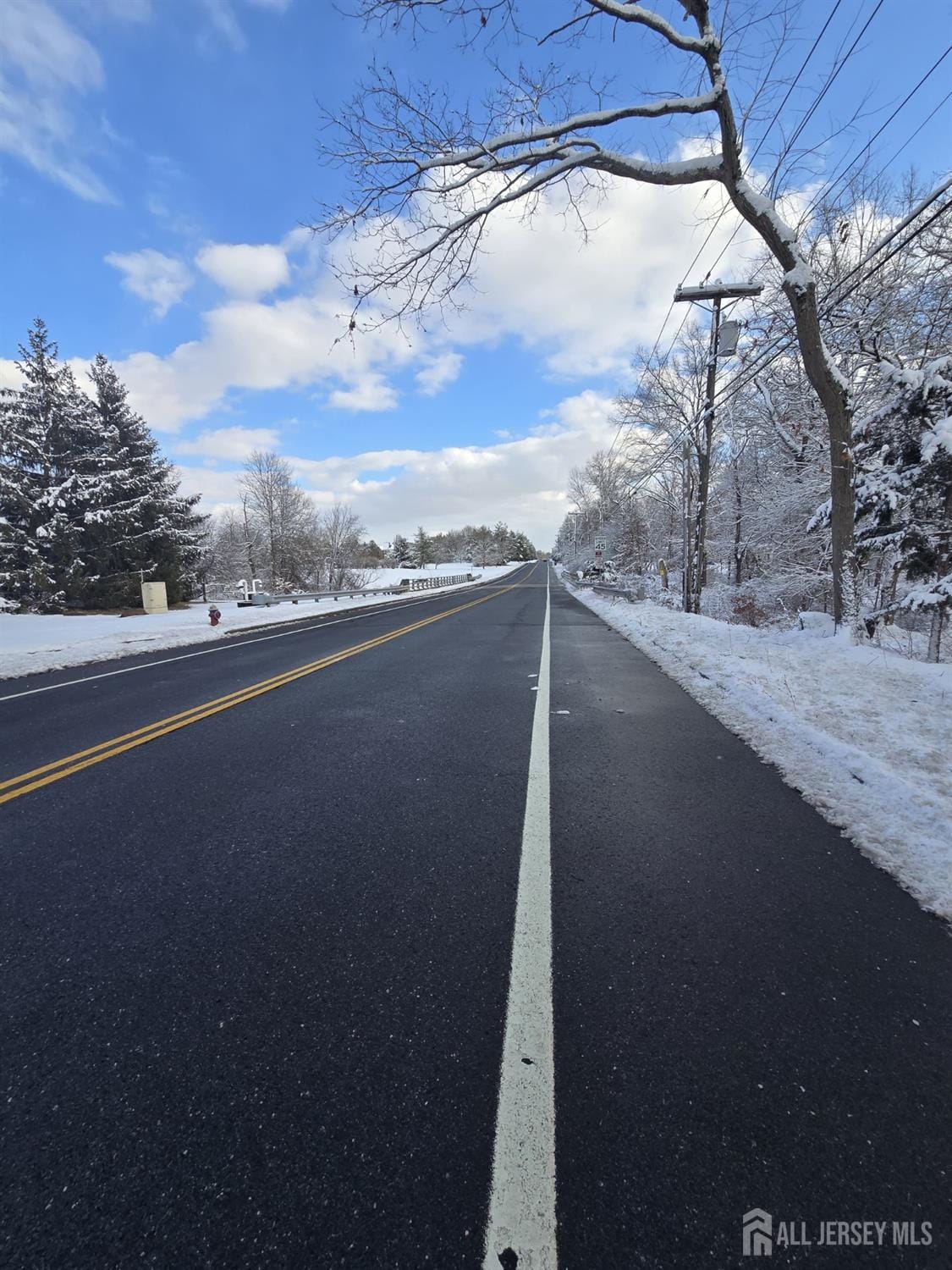 121 Bellemead Griggstown Road, Montgomery, NJ, 08502 image 6