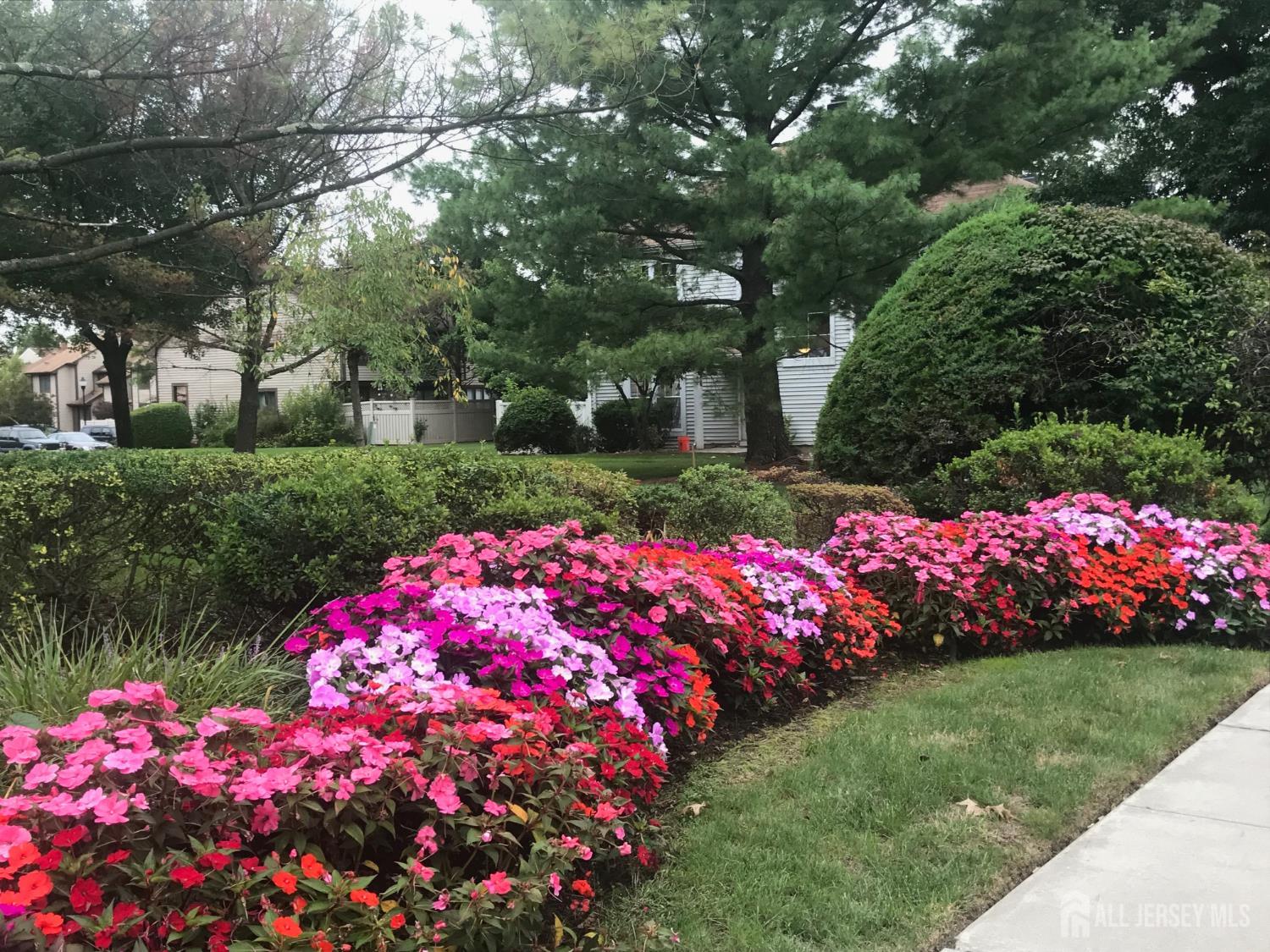 11 Borelle Square, Sayreville, NJ, 08859 image 44