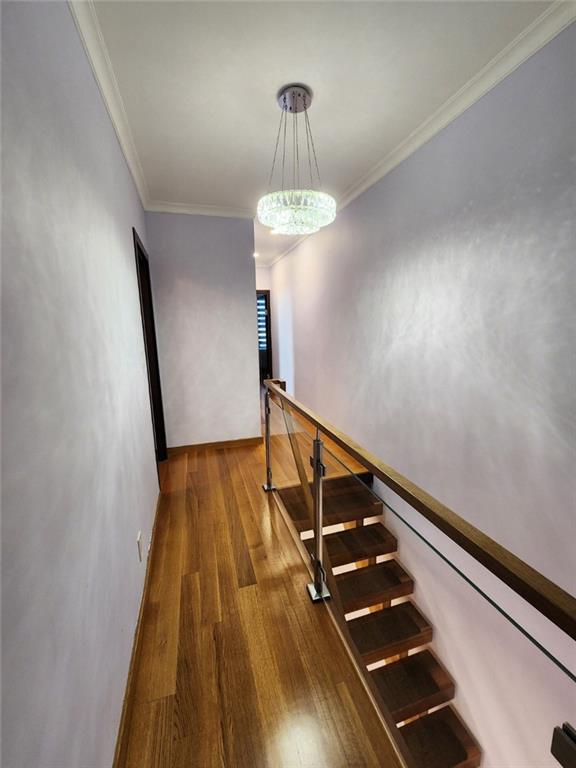 2229 East 26th Street, Brooklyn, New York, 11229 image 20