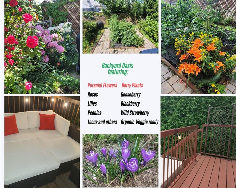 2214 Kimball Street 7A, Brooklyn, New York, 11234 image 18