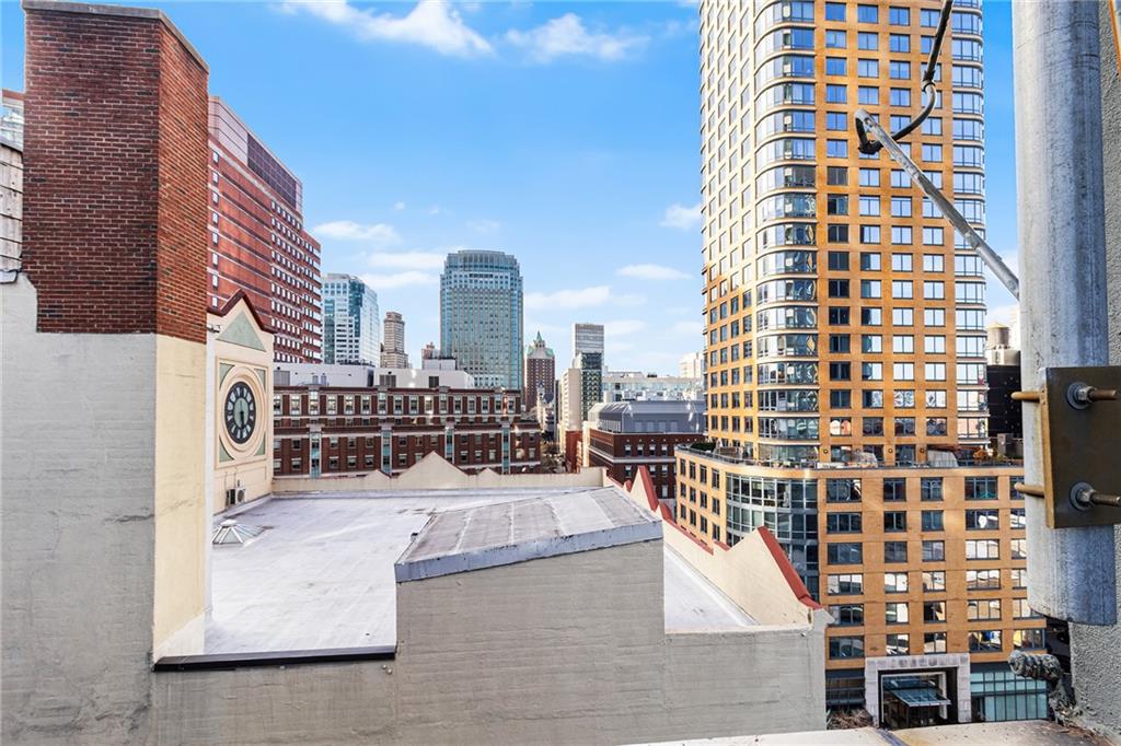 176 Johnson Street 3C, Brooklyn, New York, 11201 image 15