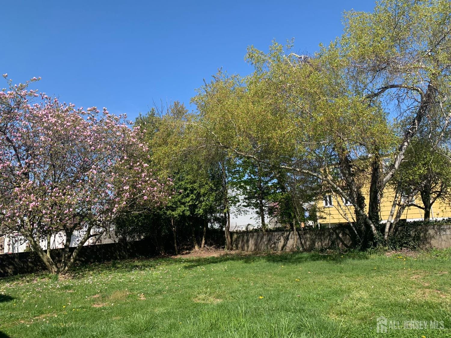 11 S Pelham Ave Avenue, Edison, NJ, 08817 image 17