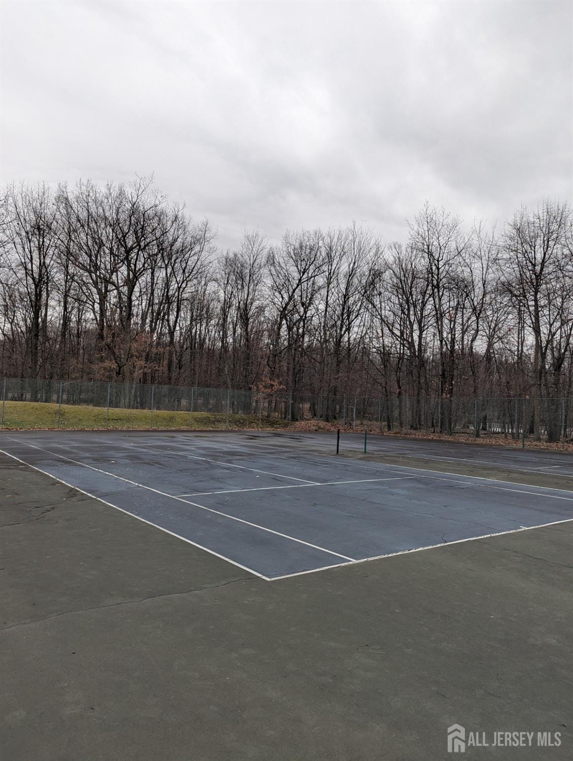 316 VENTNOR Court, Piscataway, NJ, 08854 image 50