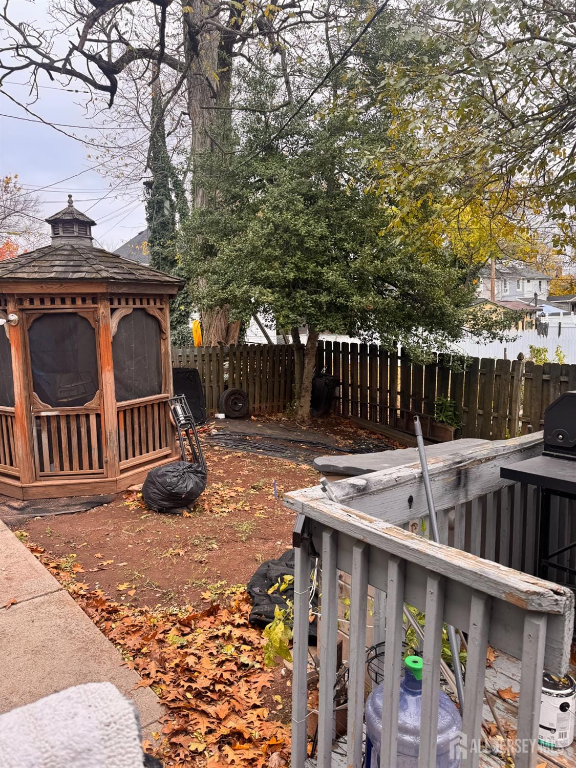 16 Curtis Place Image 3