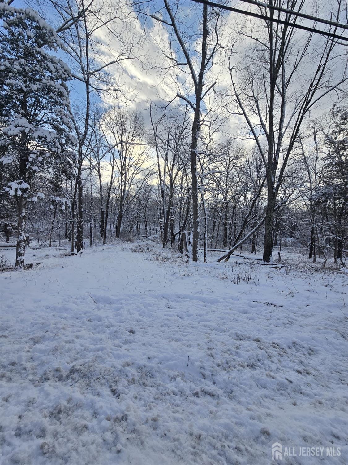 121 Bellemead Griggstown Road Image 4