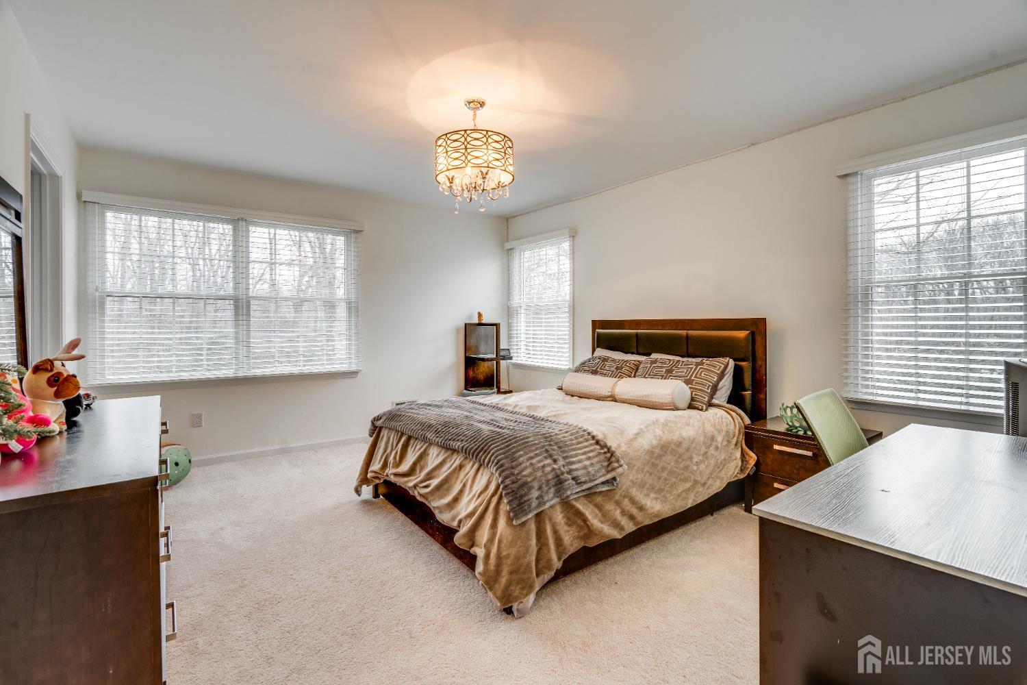 49 Summit Drive, South Brunswick, NJ, 08816 image 23