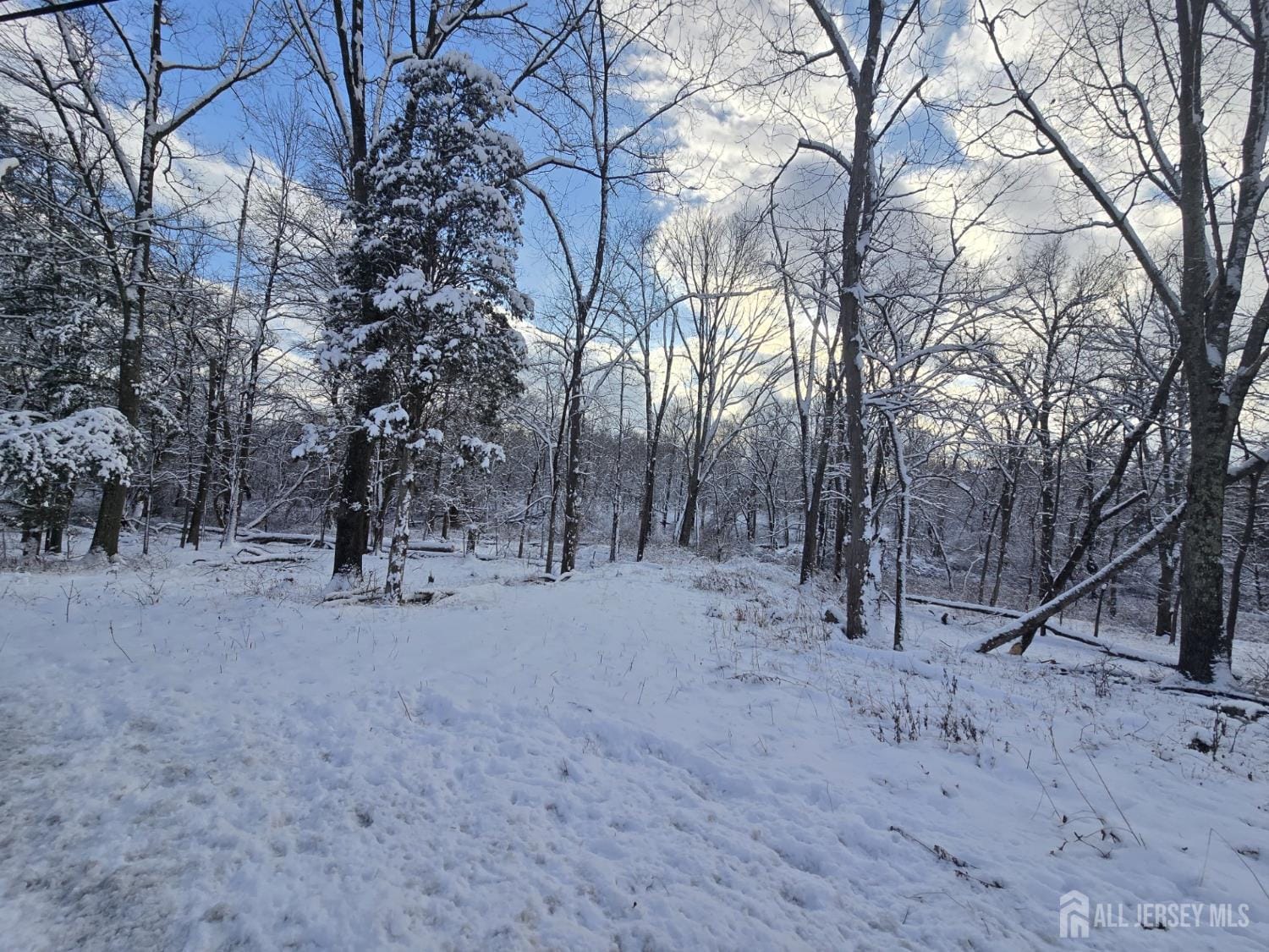 121 Bellemead Griggstown Road Image 3