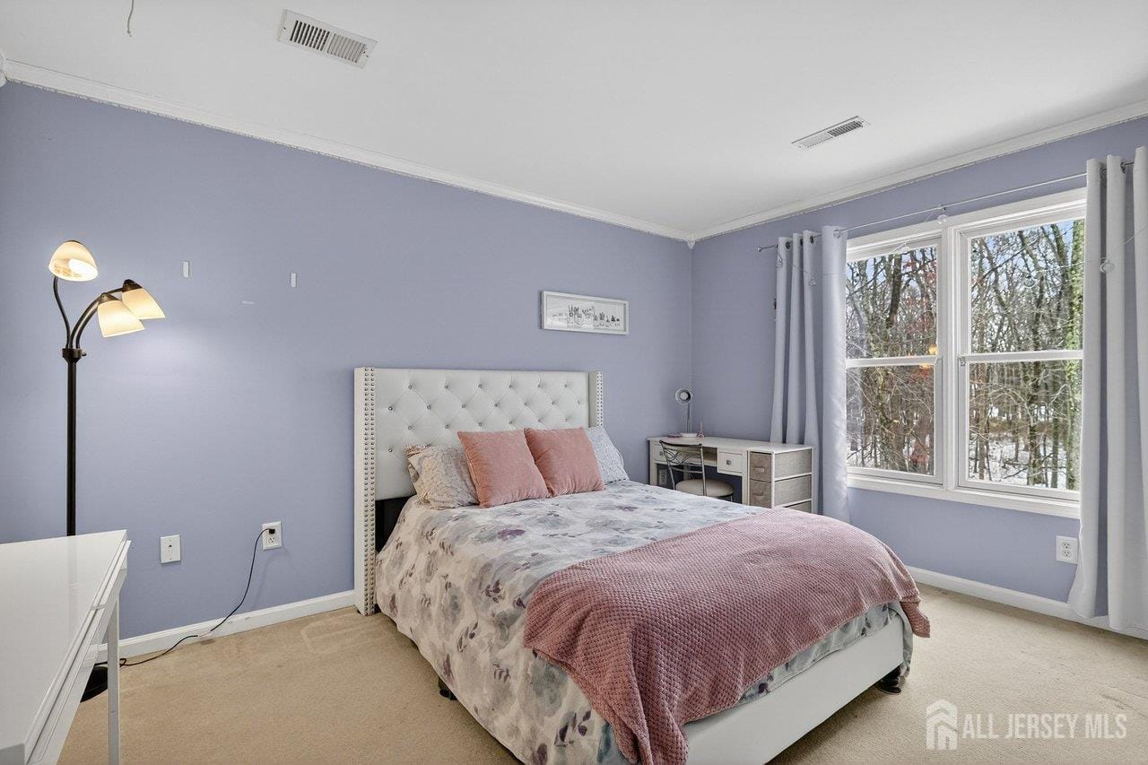 14 Yosemite Court, Old Bridge, NJ, 08857 image 43