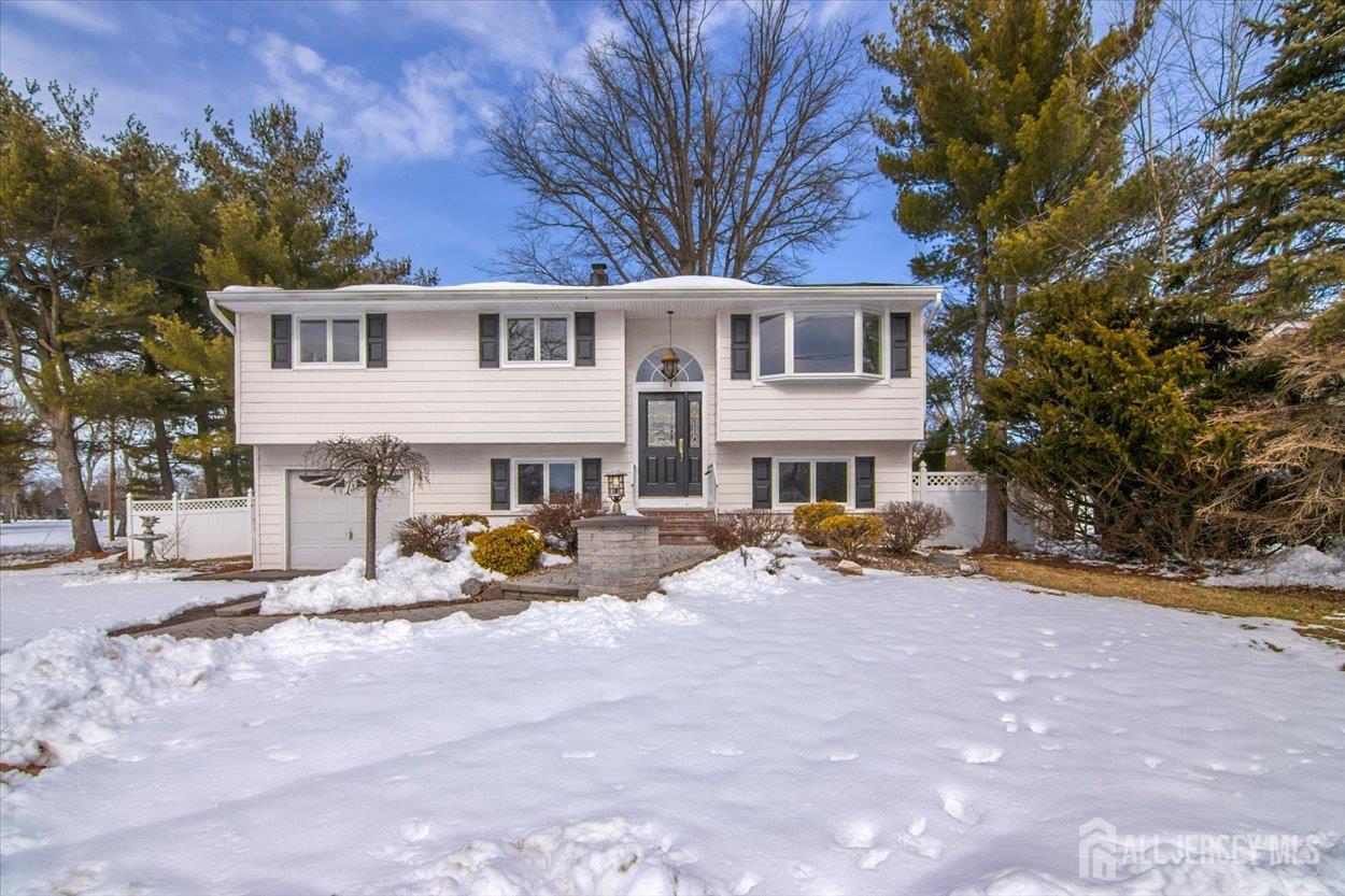 4 Seymour Terrace Image 2