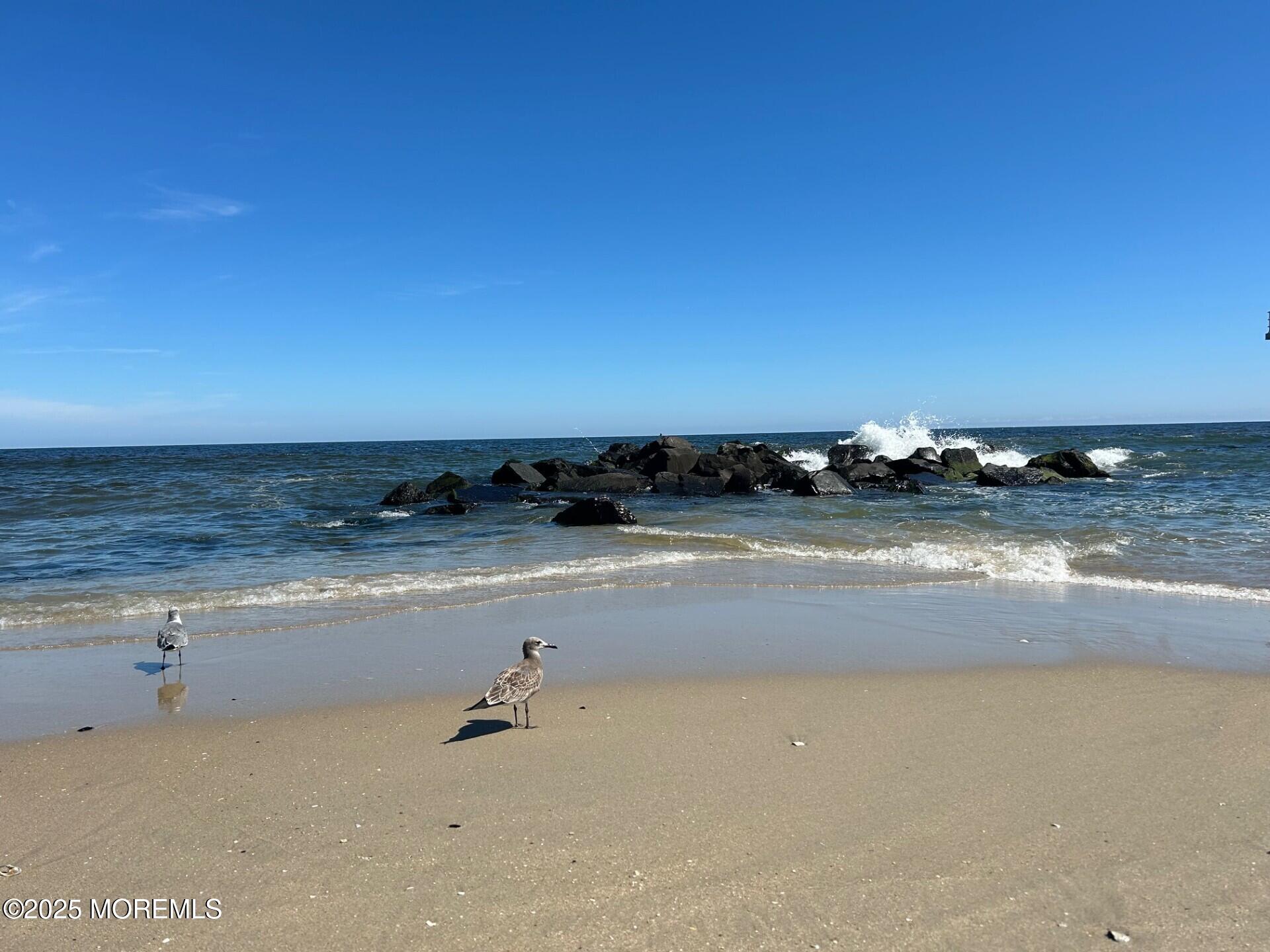 3 5th Avenue Unit #106, Neptune City, NJ, 07753 image 22