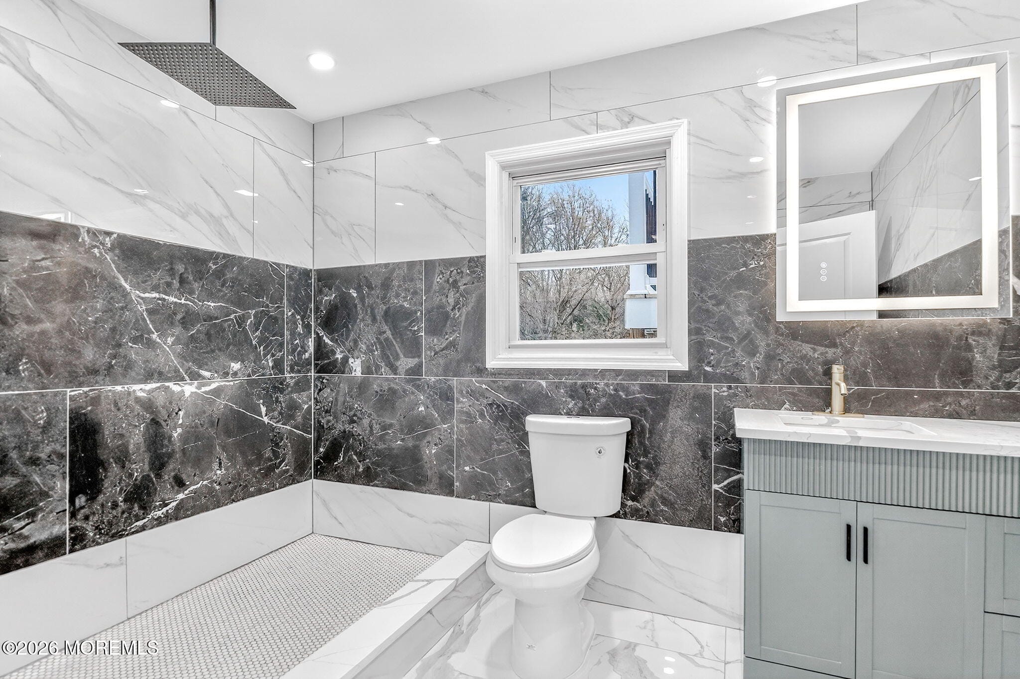 6 Storer Court, Morganville, NJ, 07751 image 17