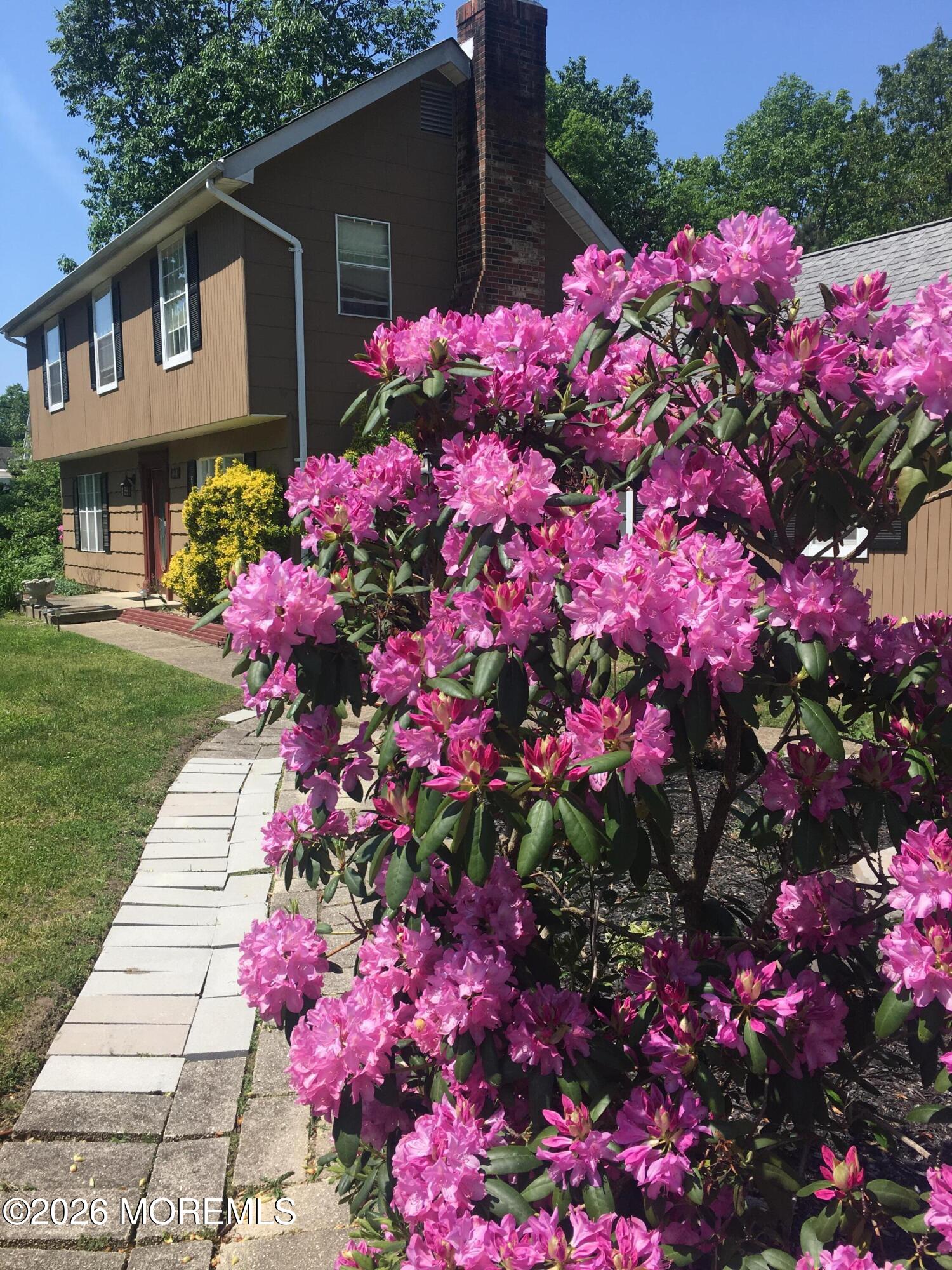 844 Miller Avenue, Jackson, NJ, 08527 image 6