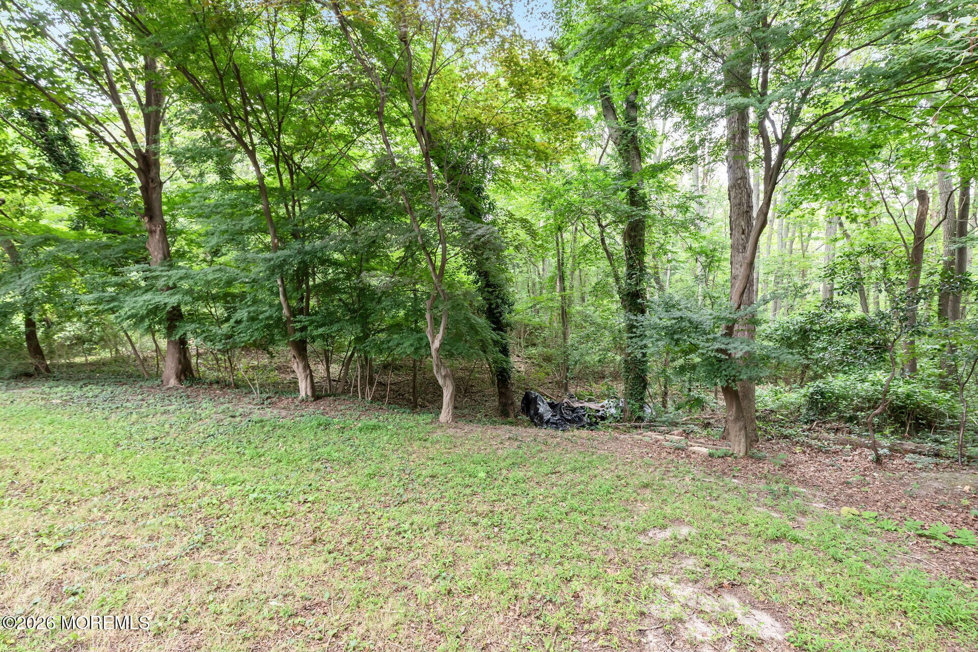 303 Highland Avenue, Neptune Township, NJ, 07753 image 10