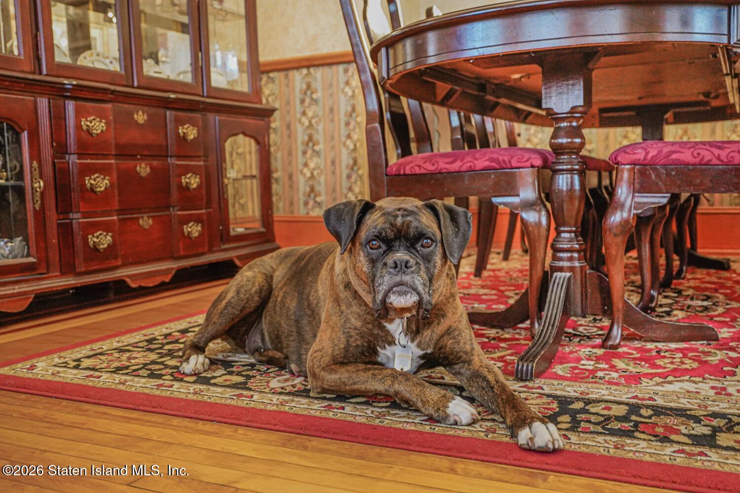 213 Wood Avenue, Staten Island, NY, 10307 image 25