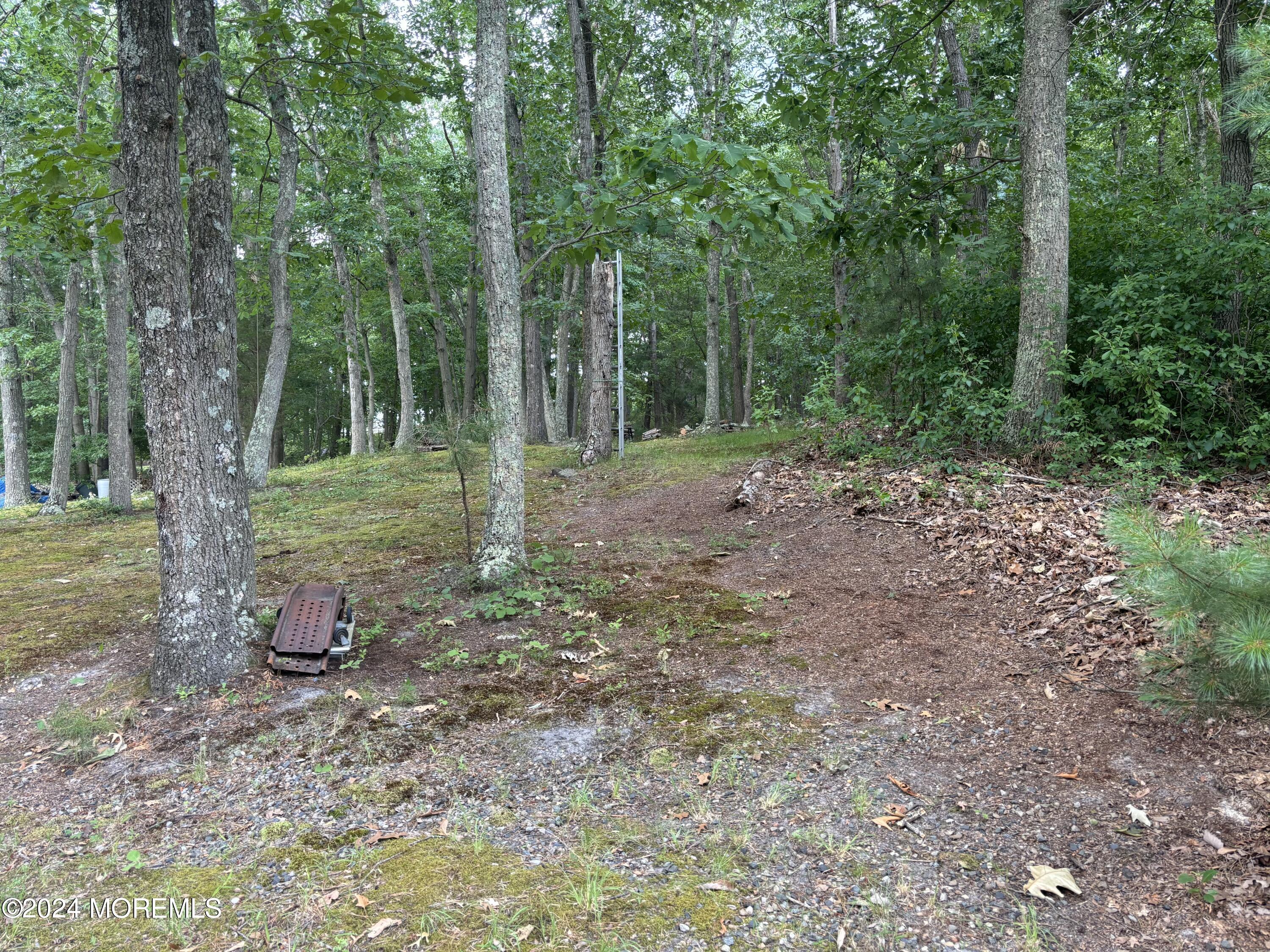 1 , 3, 5 Francis Mills Road, Freehold, NJ, 07728 image 8