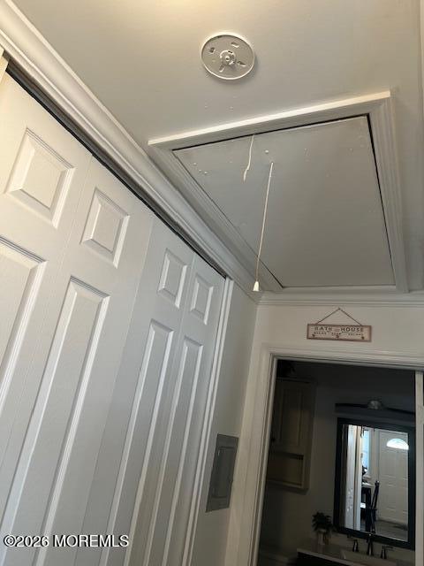 23 Haven Drive, Matawan, NJ, 07747 image 18