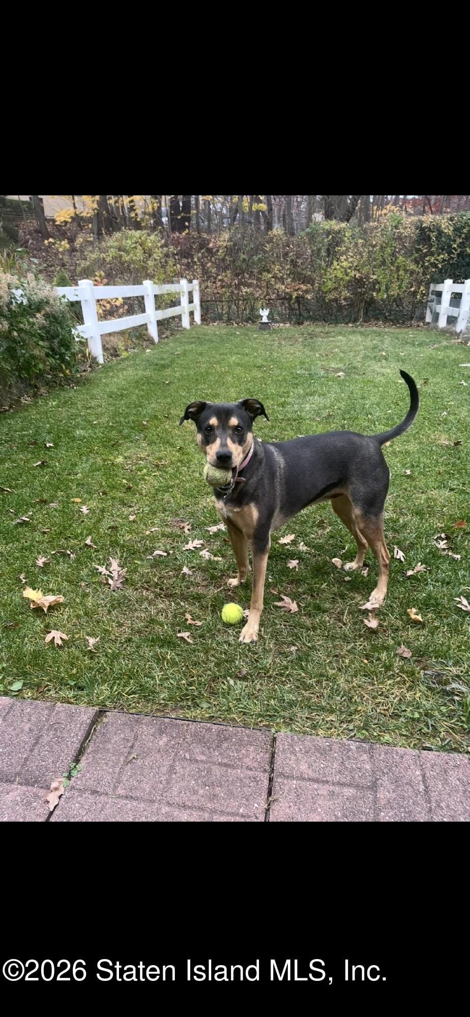 116 Windham Loop, Staten Island, NY, 10314 image 24