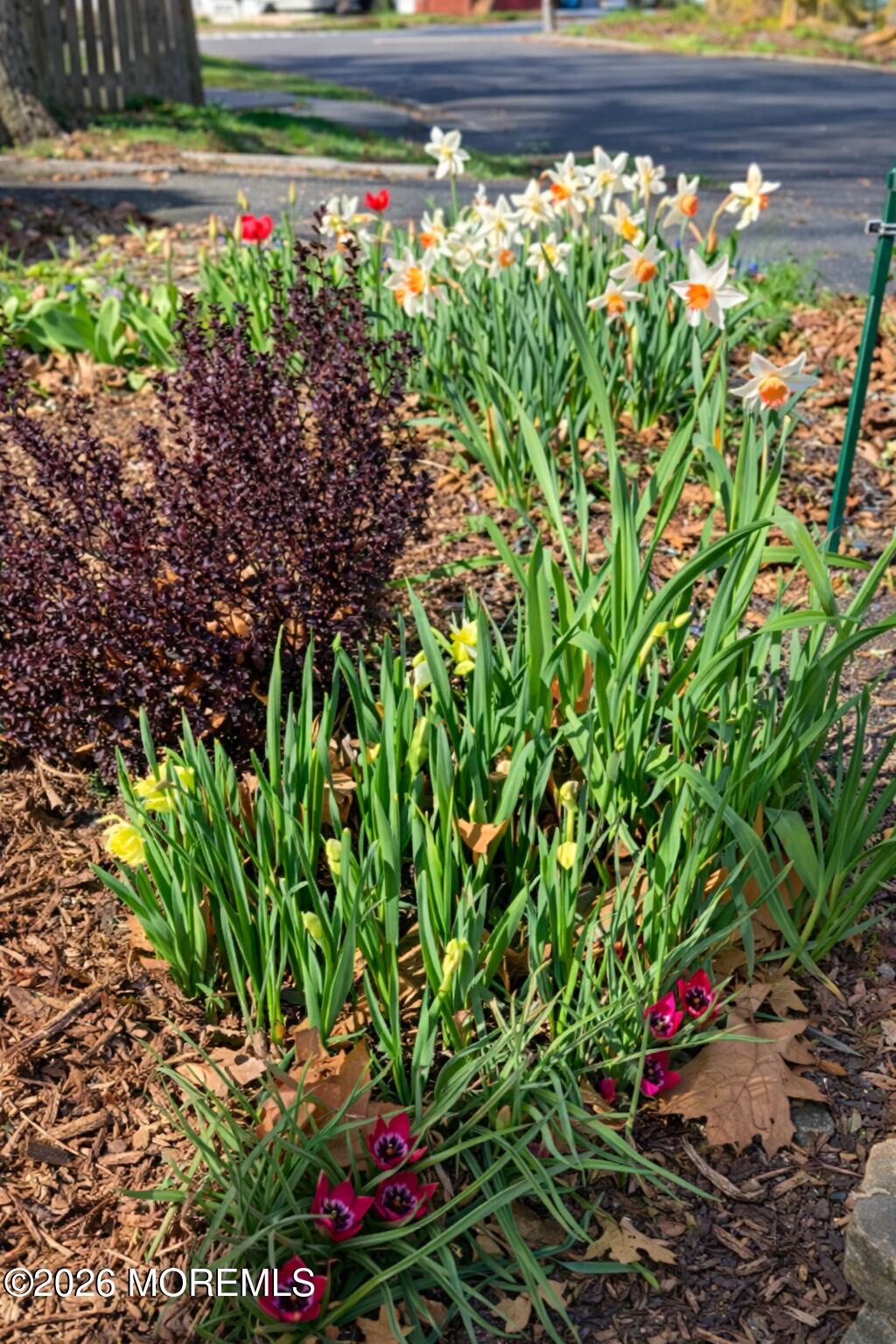 11 Poplar Avenue, Hazlet, NJ, 07734 image 37