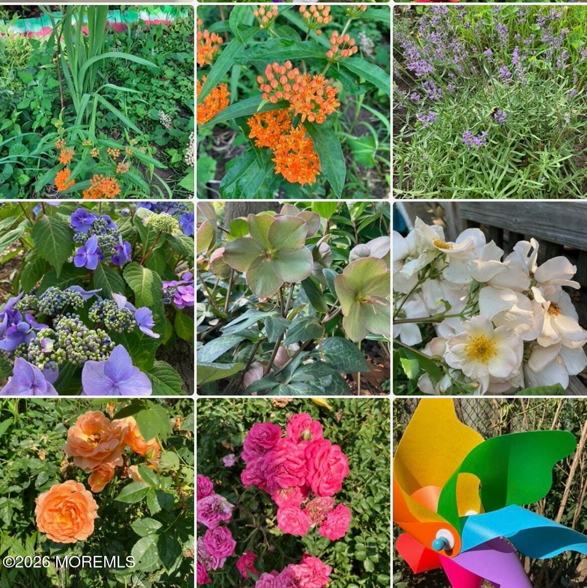 11 Poplar Avenue, Hazlet, NJ, 07734 image 36