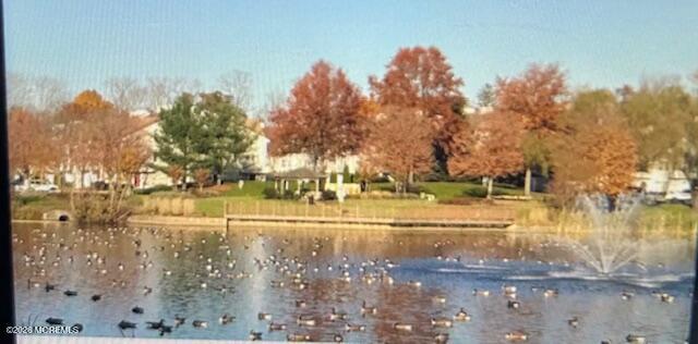 159 Dorado Beach Court, Howell, NJ, 07731 image 24