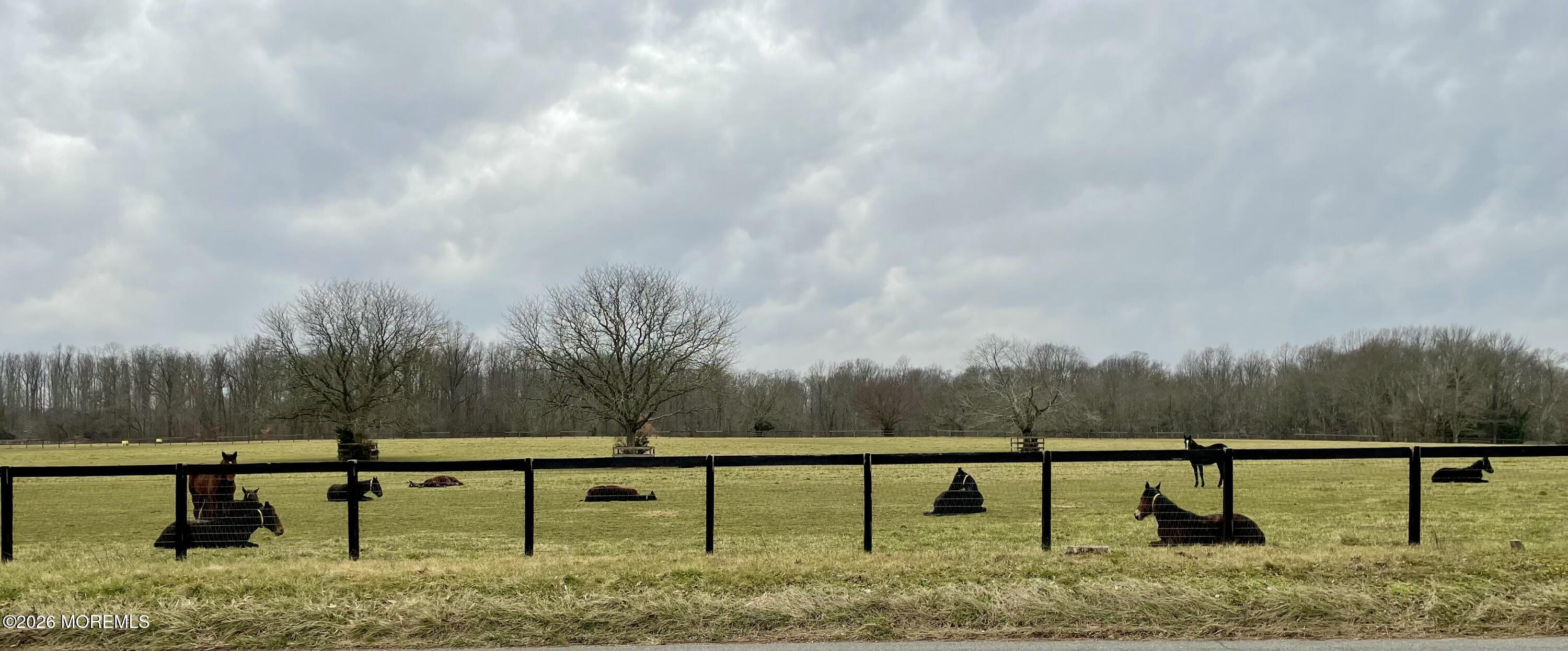 203 Holmes Mill Road, Cream Ridge, NJ, 08514 image 67