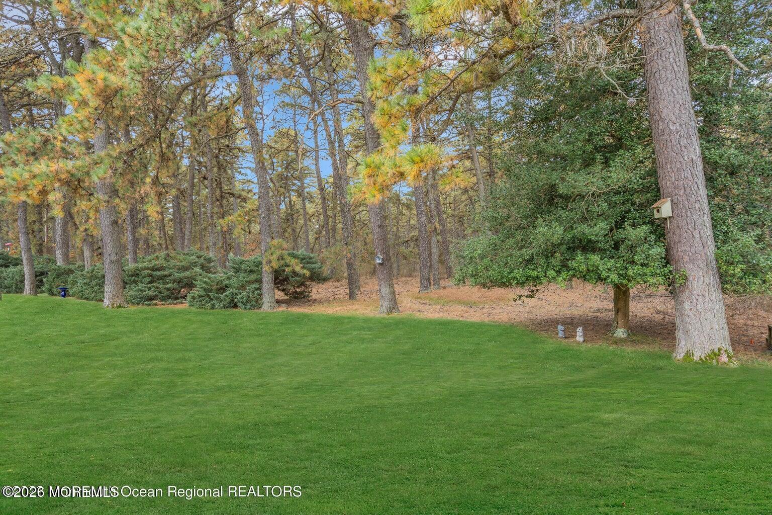 37 Zeeland Drive, Toms River, NJ, 08753 image 49