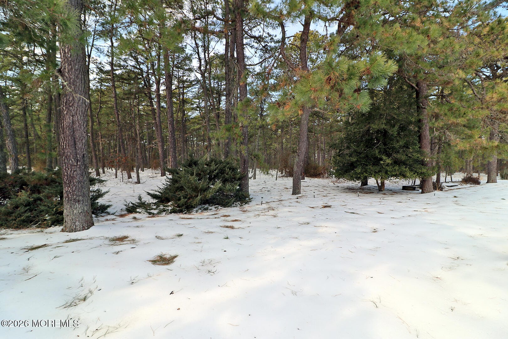 37 Zeeland Drive, Toms River, NJ, 08753 image 14