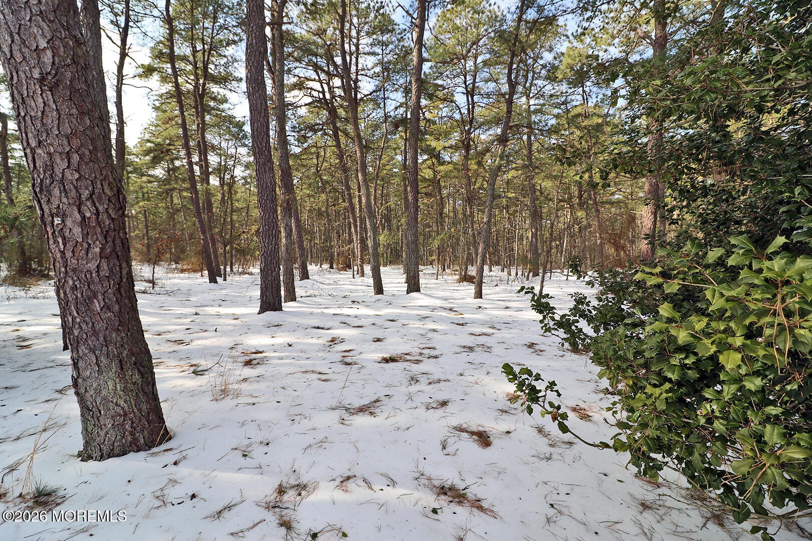 37 Zeeland Drive, Toms River, NJ, 08753 image 13