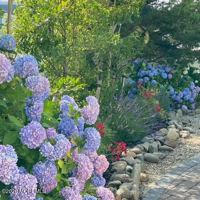 1100A Long Beach Boulevard, Long Beach Twp, NJ, 08008 image 32