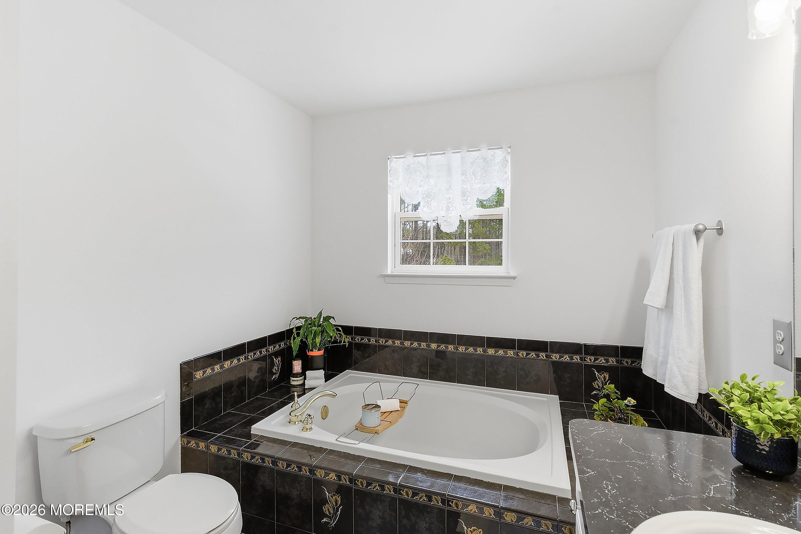 60 Hampshire Court, New Egypt, NJ, 08533 image 19