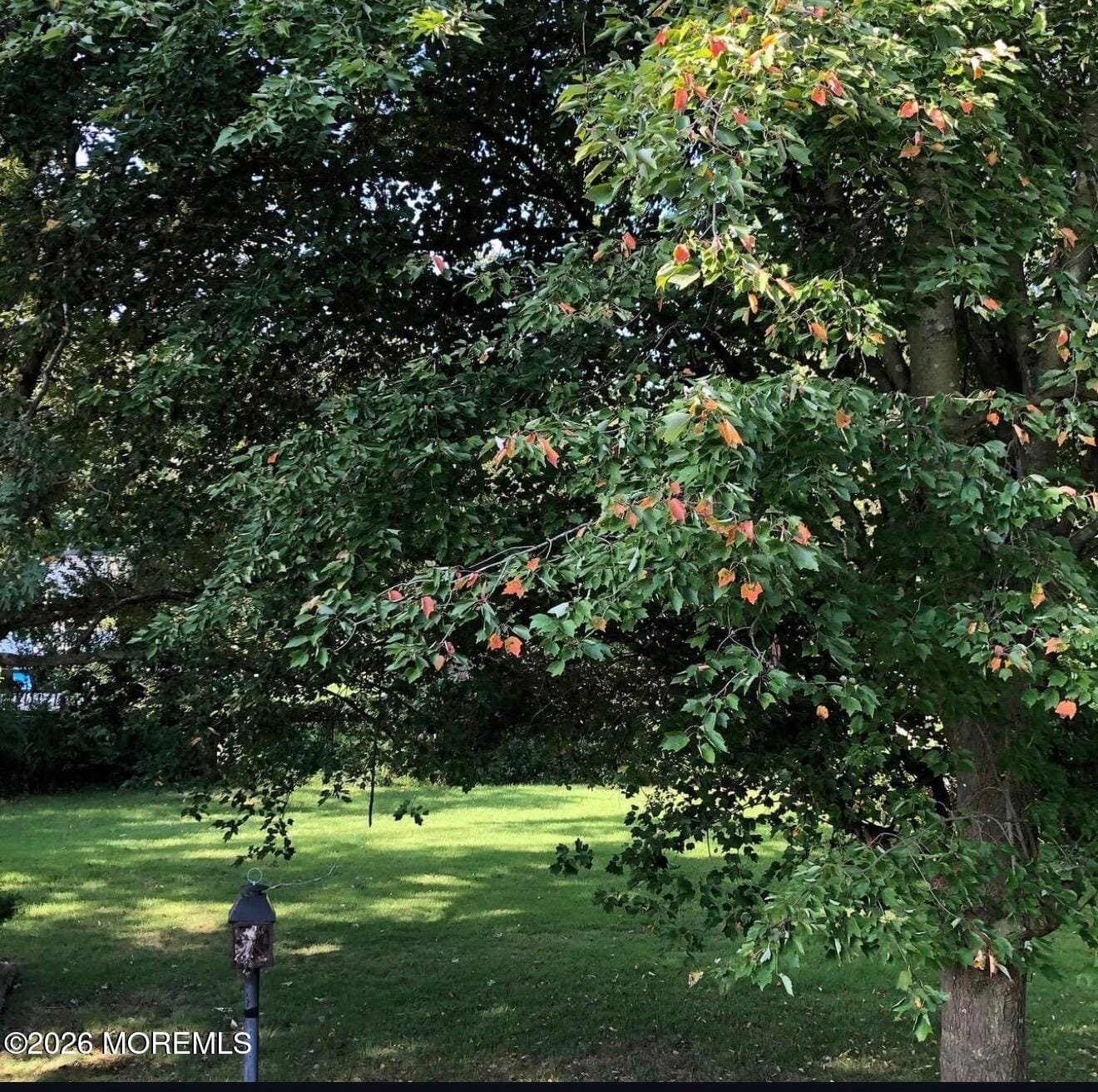 159 Newbury Road, Howell, NJ, 07731 image 31