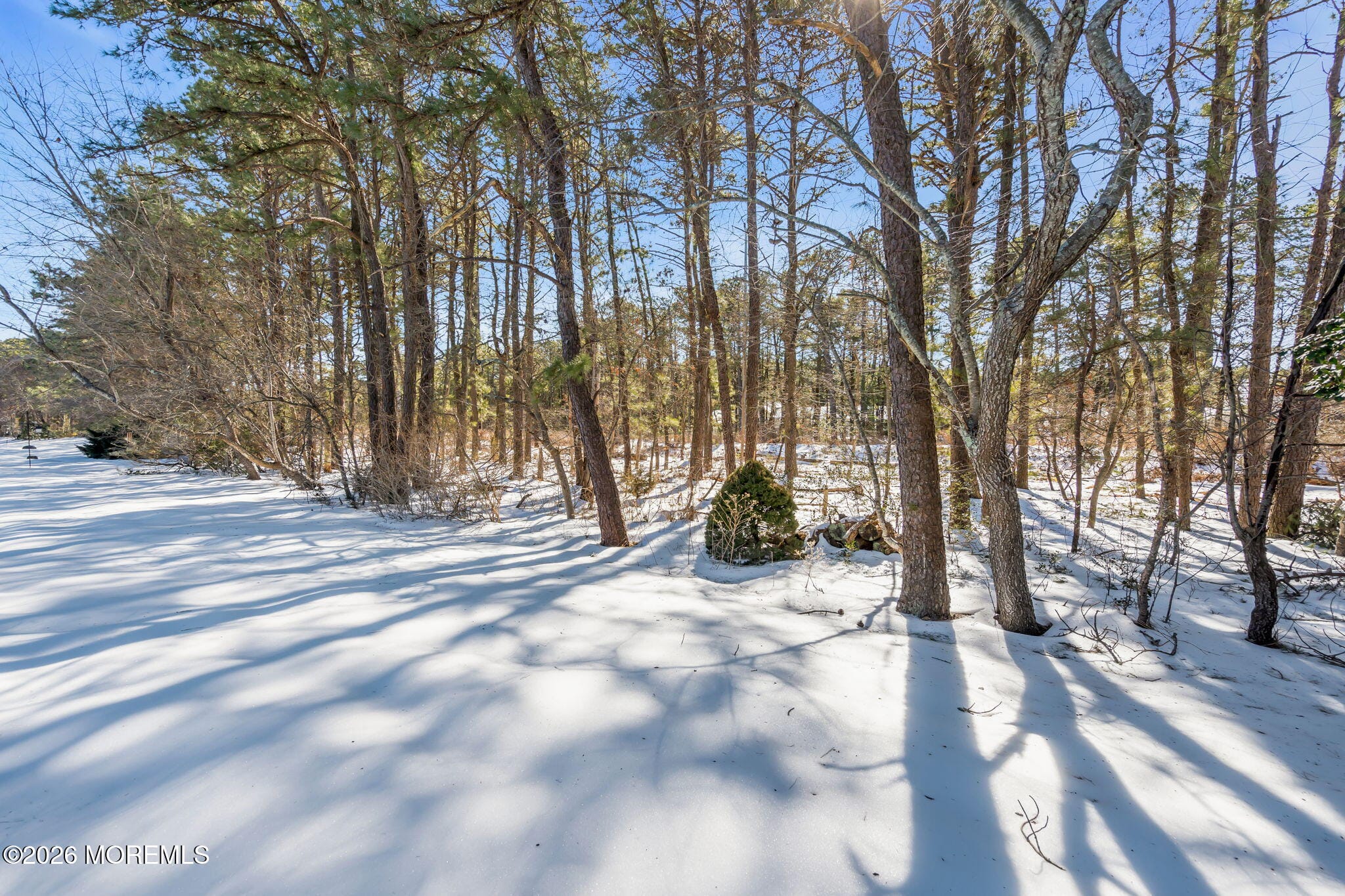 115 San Carlos Street, Toms River, NJ, 08757 image 37