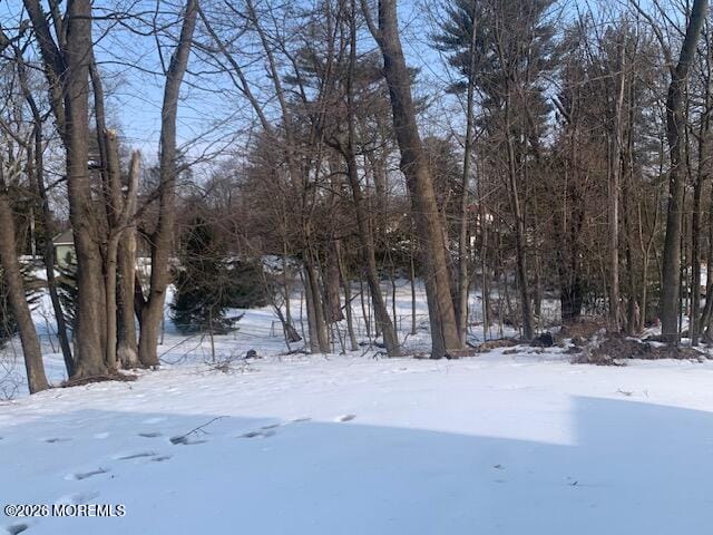 49 Court Street Image 5