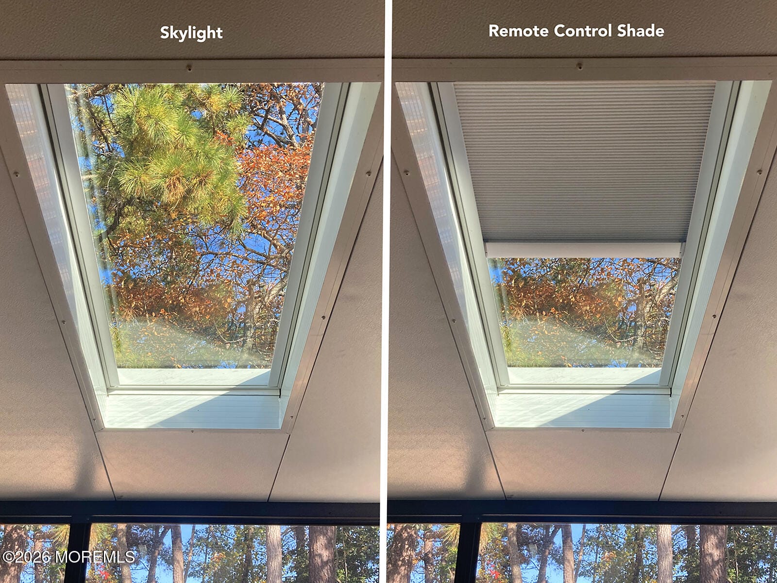 4 Palm Avenue, Brick, NJ, 08723 image 32