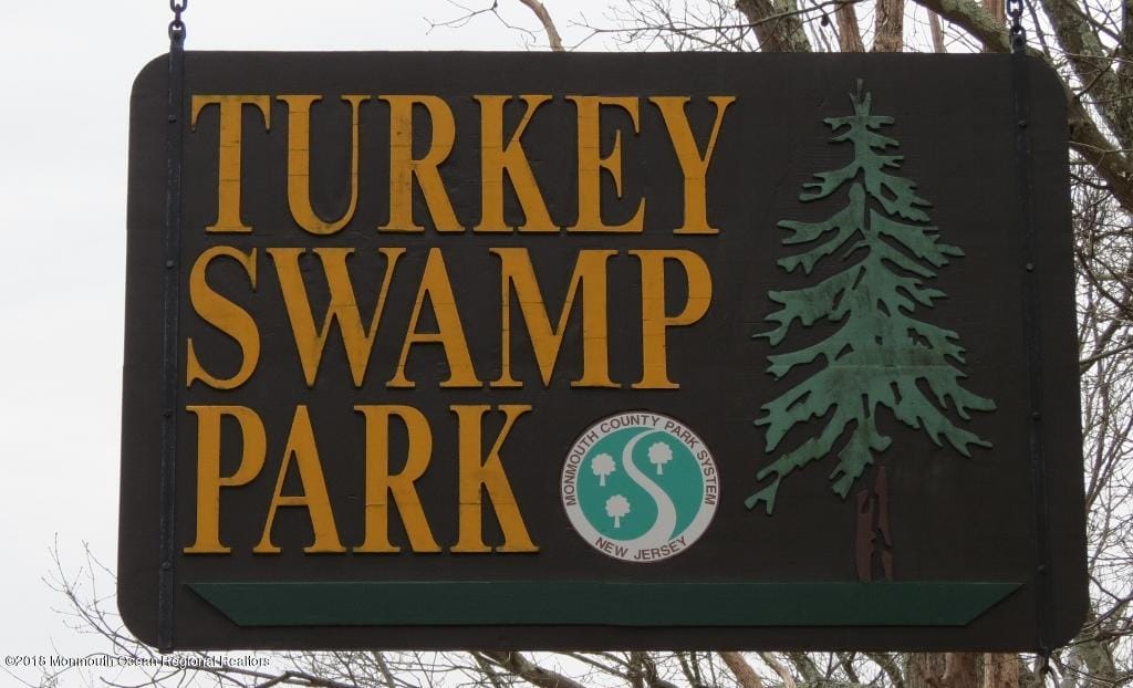 221 Georgia Road, Freehold, NJ, 07728 image 56