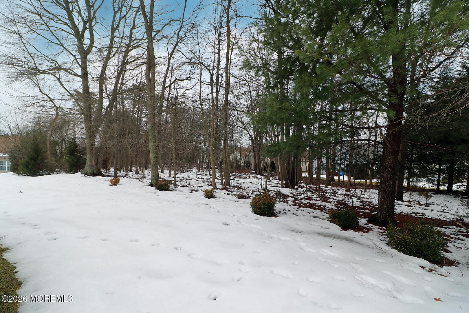 4 Stanton Court, Whiting, NJ, 08759 image 34