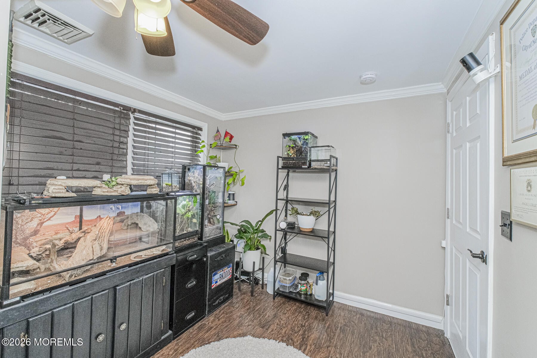 1010 Morgan Avenue, South Amboy, NJ, 08879 image 19