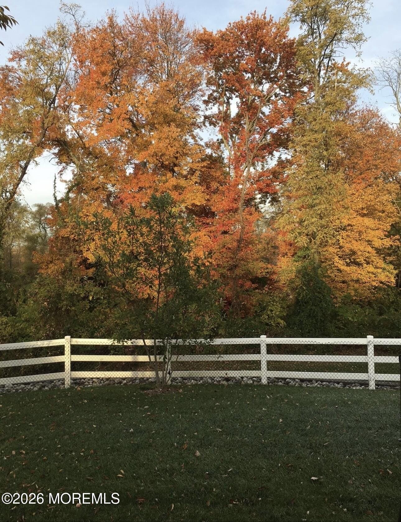 3 Breton Lane, Manalapan, NJ, 07726 image 68