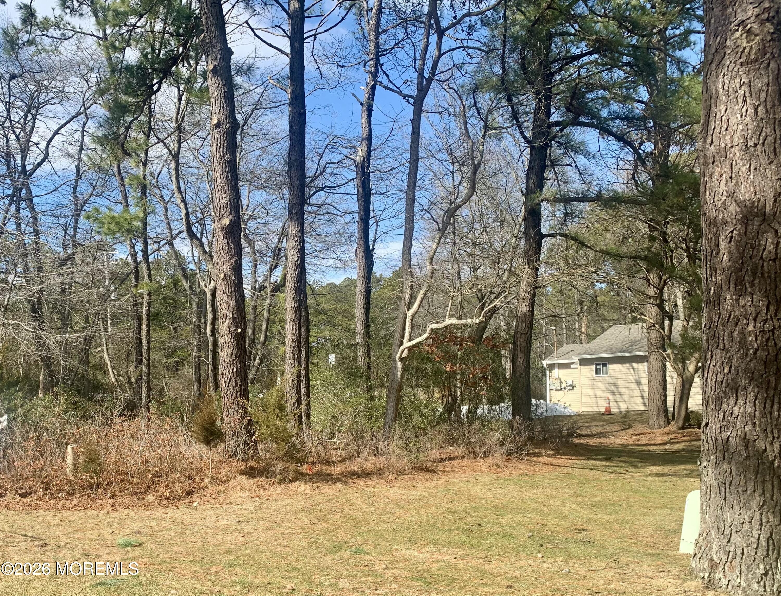 27 Amesbury Road 64 Image 3