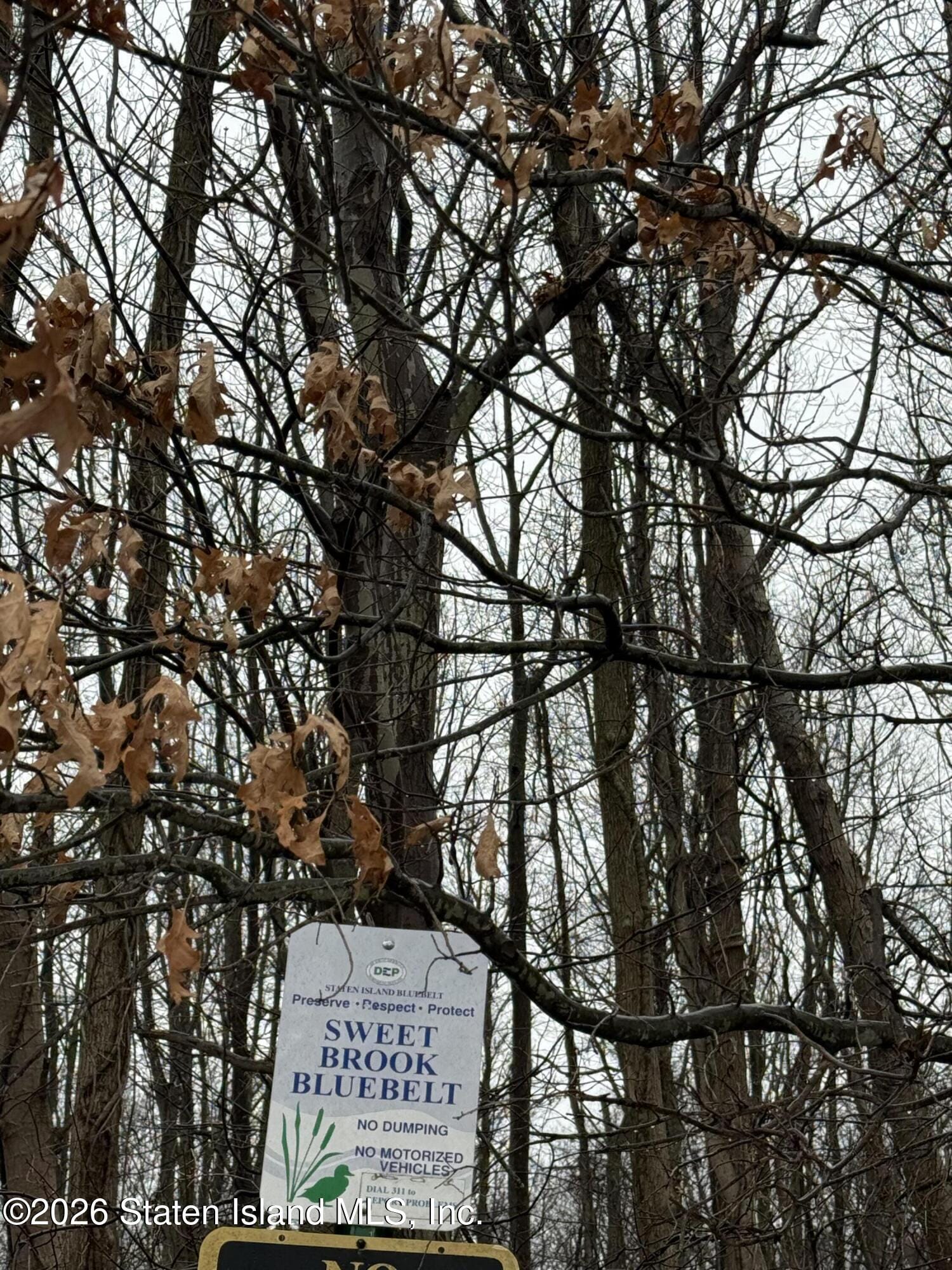 355 Stafford Avenue, Staten Island, NY, 10312 image 4