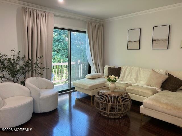 2006 Alpine Trail Image 3