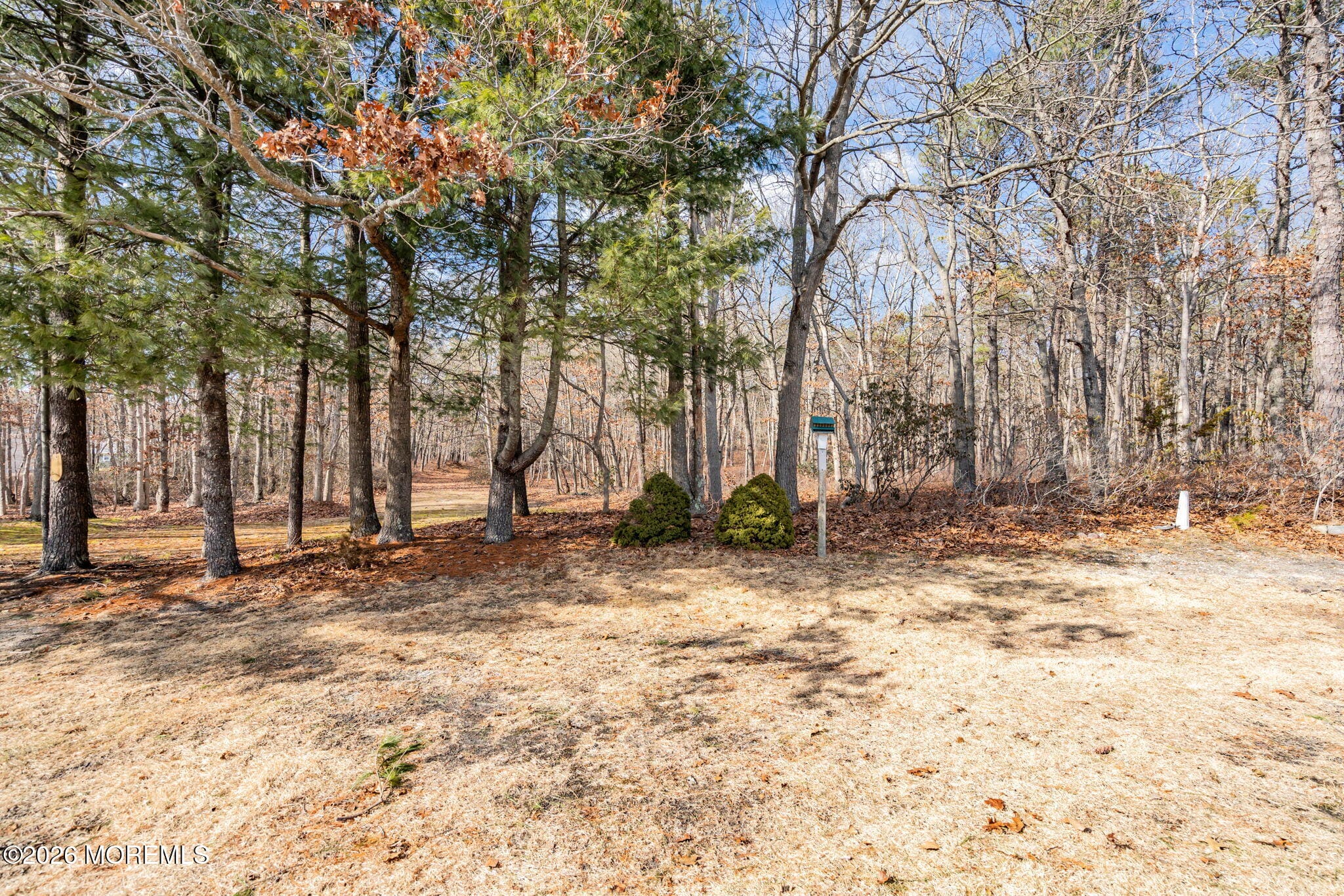 146 Pine Oak Boulevard, Barnegat, NJ, 08005 image 25