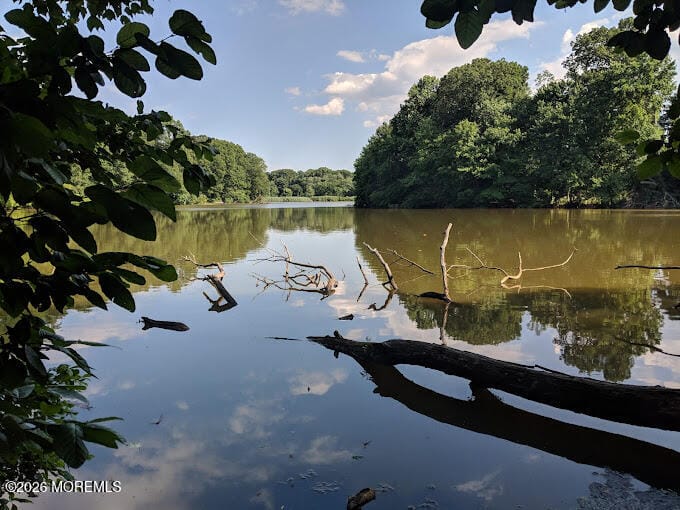 9 Johnny Court, Red Bank, NJ, 07701 image 64