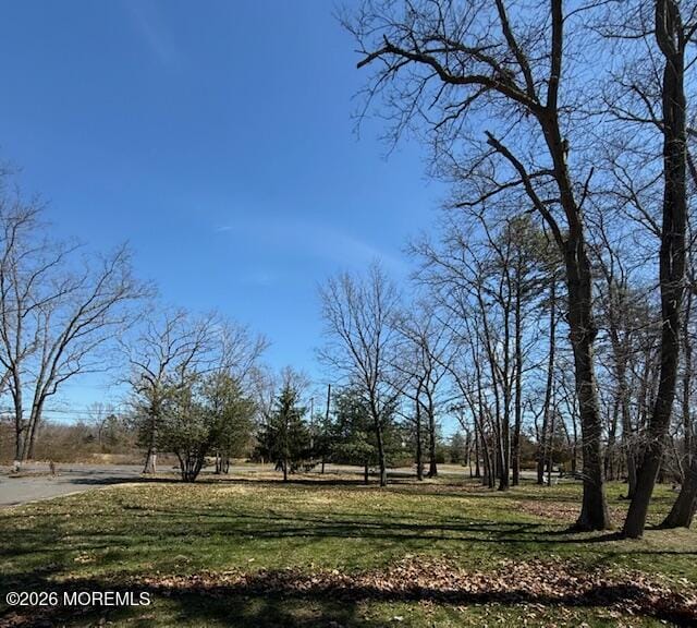 889 Pinehurst Road Image 2