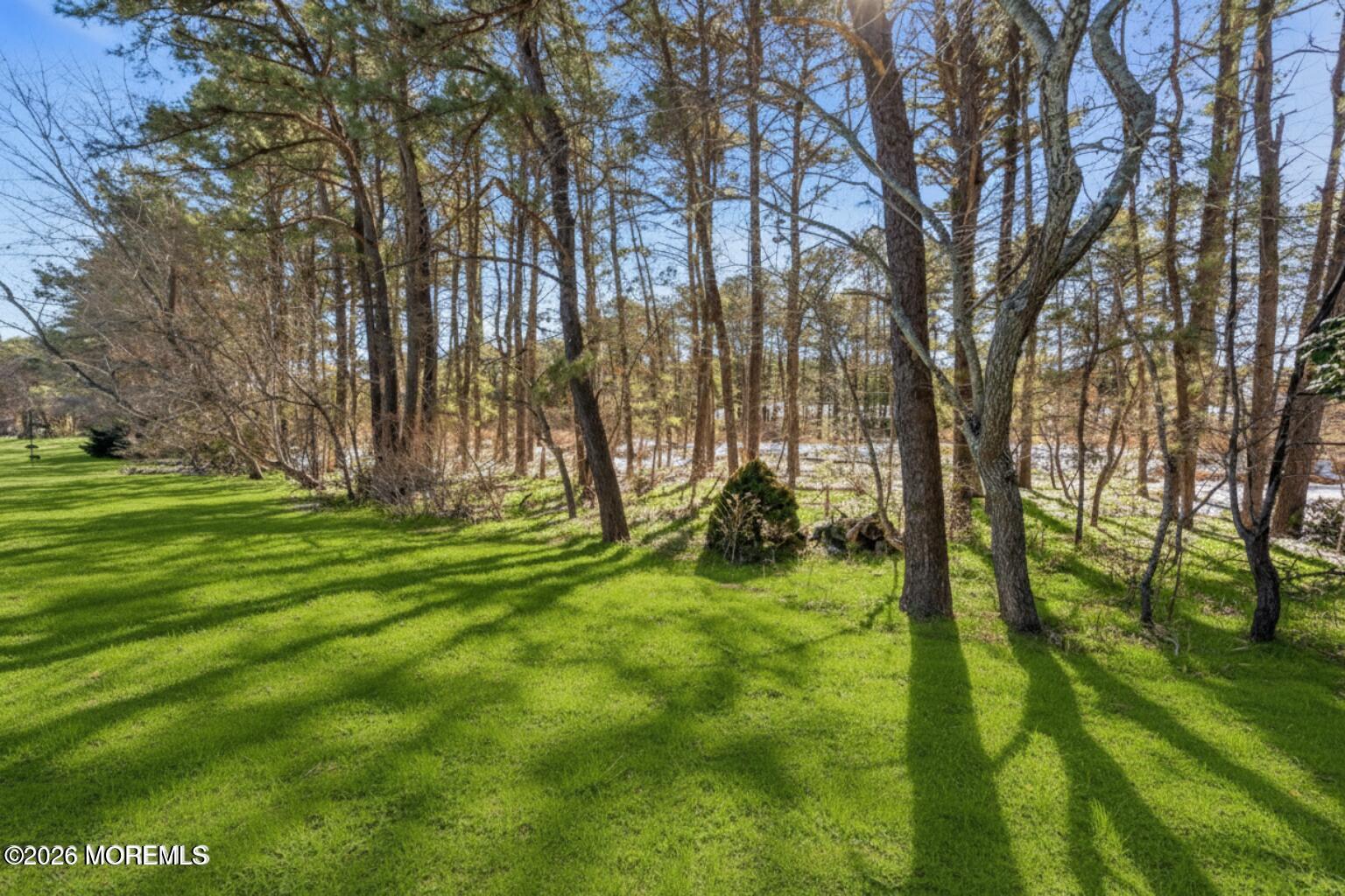 115 San Carlos Street Image 2