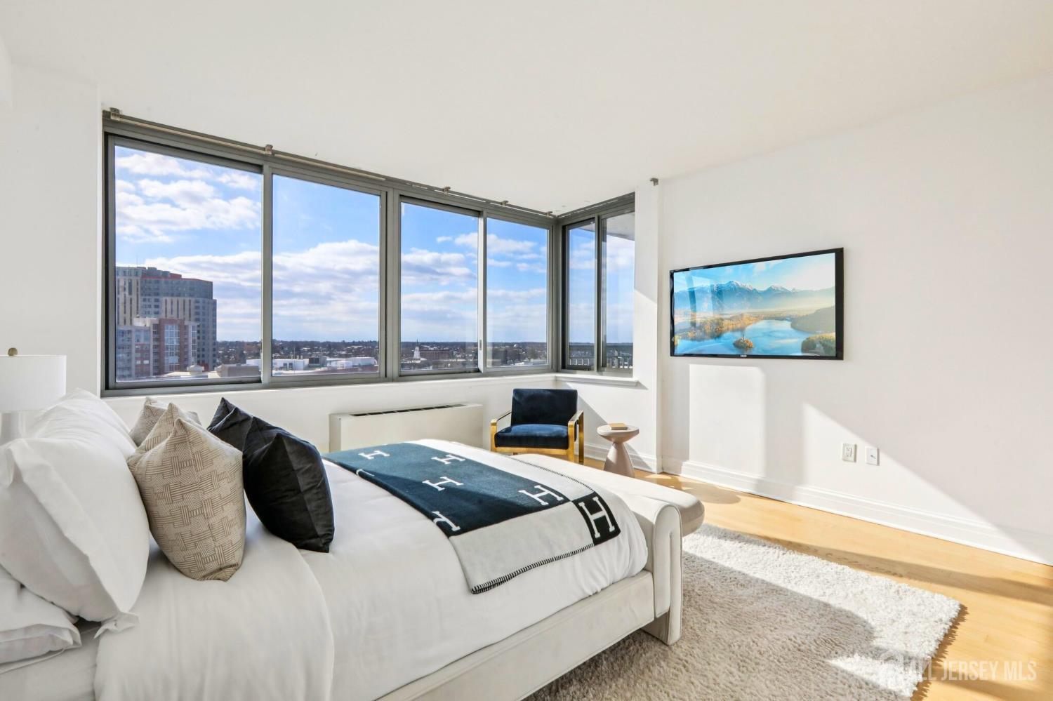 1 Spring Street 1004, New Brunswick, NJ, 08901 image 14