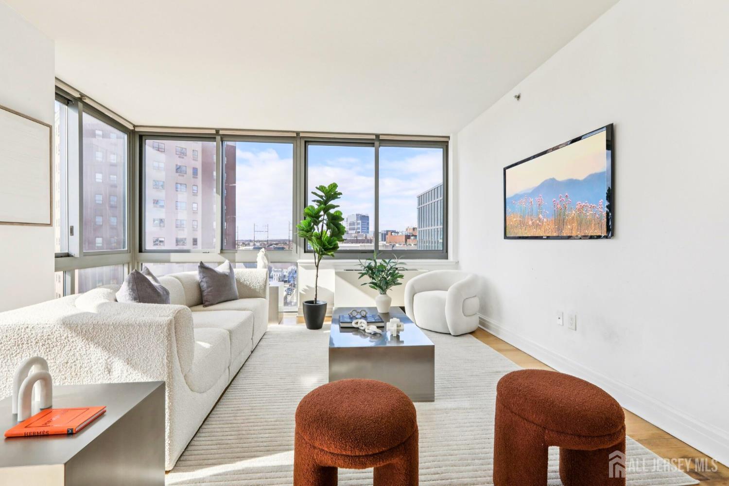 1 Spring Street 1004, New Brunswick, NJ, 08901 image 6